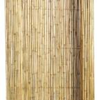 Bamboescherm op rol 180 x 180 cm, gelakt.