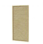 Trellis scherm Jasmijn 90 Excellent, 90 x 180 cm, groen geïmpregneerd.