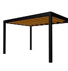 Buitenverblijf plat dak Allure I, douglas, basismodel L/E, 395x303 cm, transparant gespoten.