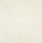 Tegel | Betonique | Stone Sand | Zand/Taupe | Gecoat | 60x60x4 cm