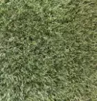 Visiegrass Wembley 40mm 4mtr p/m1