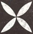 Vtw Belgian St Flower White