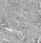 Solido Ceramica PRO5 Pietra Grigioni 20x40x5 cm. (3 zijden geprint)