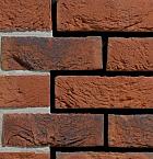 DF HV | Oranje blauw bont