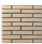 Gevelsteen | Vormbak Wasserstrich | Pistache | British Standard