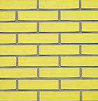 Crystal Geel | Waal Formaat Glazuur: 1x strek +1x kop | Strengpers | 210 x 100 x 50