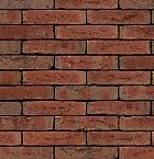 Exelsa | Wasserstrich | WF