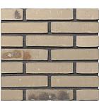 Gevelsteen | Vormbak Wasserstrich | Pistache gesinterd | Waalformaat