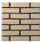 Gevelsteen | Vormbak Wasserstrich | Pistache | Waalformaat