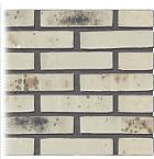 Gevelsteen | Vormbak Wasserstrich | Wit gesinterd | Waalformaat