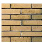 Gevelsteen | Vormbak Wasserstrich | IJssel (Geel Bont / Groen gesinterd) | Waalformaat