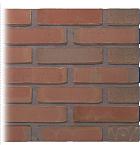 Gevelsteen | Vormbak Wasserstrich | Loet (Paarse Klinker Speciaal Bont) | Waalformaat