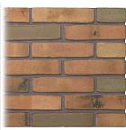 Gevelsteen | Vormbak Wasserstrich | Eems (Naturel Bont gesinterd) | Waalformaat