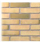 Gevelsteen | Vormbak Wasserstrich | IJ (Geel Bont) | Waalformaat