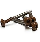 RVS schroef met gekleurde top voor NTW Castellation PRO, set a 50 stuks incl bit, Teak