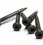 RVS schroef met gekleurde top voor NTW Castellation PRO, set a 50 stuks incl. bit, Silver gray.