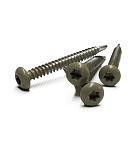 RVS schroef met gekleurde top voor NTW Castellation PRO, set a 50 stuks incl bit, Antique