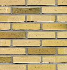 Teunisbloem | Waal Formaat | Wasserstrich | Steenstrips | 210 x 100 x 50