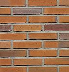 Goudsbloem | Waal Formaat | Wasserstrich | Steenstrips | 210 x 100 x 50