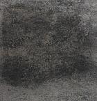 Terras+ tegel 60x60x4 cm Grijs/Zwart
