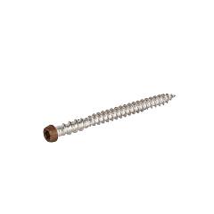 RVS schroef met gekleurde top voor NTW terrasplanken, set a 100 stuks incl bit, Red Cedar