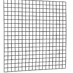 Gaaspaneel met maas 10 x 10 cm stekloos, verzinkte draad, 180 x 180 cm, zwart geplastificeerd.