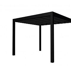 Buitenverblijf plat dak Allure I, douglas, basismodel L/C, 303x303 cm, zwart geïmpregneerd.