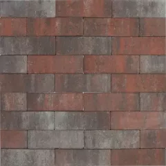 Tremico Dikformaat (DF) Twents Bont 6cm