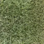 Visiegrass Wembley 40mm 4mtr p/m1