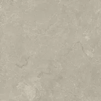 Coast Taupe 3 Cm
