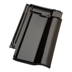 Alegra 10 dakpan zwart verglaasd