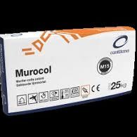 Mur 12 DSM SPS | Gekleurd metsel/voegmortel - 3011 lichtgrijs | Granulometrie 0/4 mm | Zak 25 kg