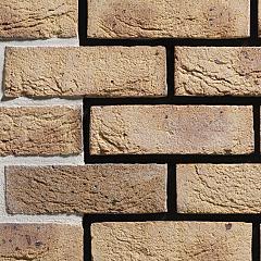 DF HV | Baltic Amber