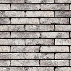 Rainbow Snowdust | Handvorm | WF