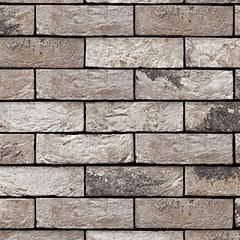 Vecto | Handvorm | DF