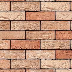 Neo Magnolia | Handvorm | DF