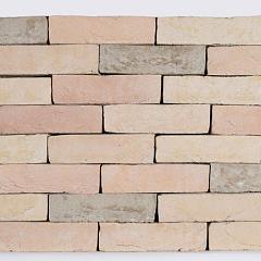 Maastrichts Bont |HV | WDF