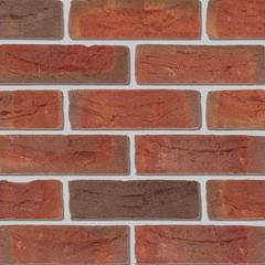 DF HV | Baccara | Exclusief Roodpaars