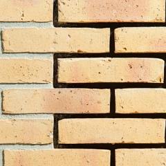 WF Tighel-Brik | Zion