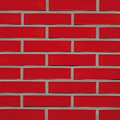 Crystal Rood | Waal Formaat Glazuur: 1x strek +1x kop | Strengpers | 210 x 100 x 50
