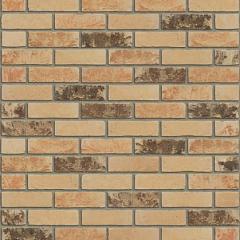 Auriga EF HV EF 215*100*65