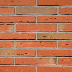 Robinia | Lang Formaat 288 | Strengpers | 288 x 88 x 48