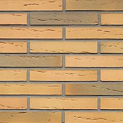 Betula | Lang Formaat 288 | Strengpers | 288 x 88 x 48