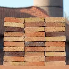 Canne Nr. 7/8-9/10 | Deester bont geel brons groen | Rijn | HV | Exclusive