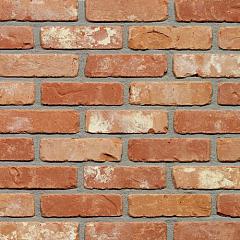 Tongerse | Rijnvorm | Strengpers | 178 x 83 x 48