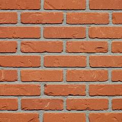 Rodelandse | Rijnvorm | Strengpers | 178 x 83 x 48