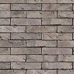 Lupus | Wasserstrich | WF