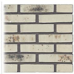 Gevelsteen | Vormbak Wasserstrich | Wit gesinterd | Waalformaat