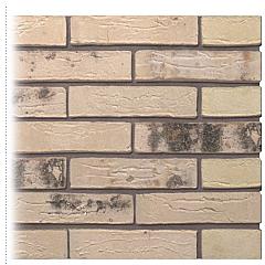 Gevelsteen | Handvorm | Pistache gesinterd | Waalformaat