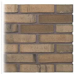 Gevelsteen | Vormbak Wasserstrich | Maas (Naturel Mangaan Bont) | Waalformaat